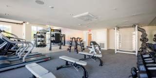 Array Vista Canyon Gallery 35