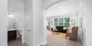 Liberty Reserve Gallery 13