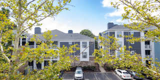 Altitude at Blue Ash Gallery 32