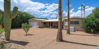 7862 E Pima Street Gallery 38