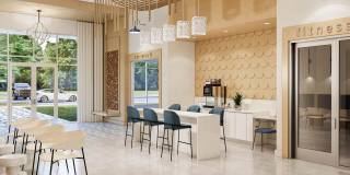 Lyria Gallery 11