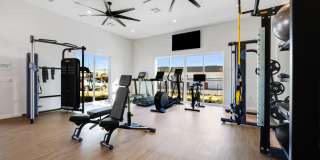 Yardly Beltmill Yardly Beltmill Gallery 17