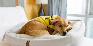 Sentral Old Town Gallery 47