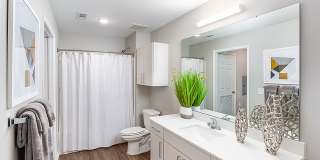 Kinsley Forest Gallery 9