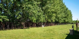 Forest Park Apartments Gallery 8