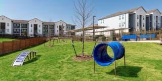 Eightyone10 Blue Goose Gallery 12