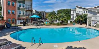 Vyne On Central Gallery 6