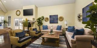 Deer Oaks Gallery 3