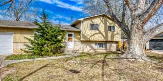 Spacious Cul-de-Sac Home Near CSU Gallery 1