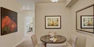 Solara Gallery 9