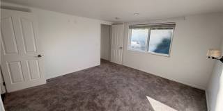13381 Epping Gallery 13