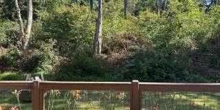 Beautiful Spanaway Home in Quiet Neighborhood Gallery 34
