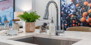 Essex Luxe Apartments Gallery 13