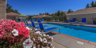 Sagecliff Apartments Gallery 25