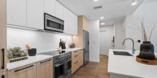 Aster & Links Gallery 74