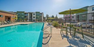 Emblem Renata Gallery 27