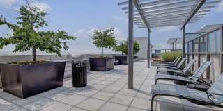 Palette at Arts District Gallery 25