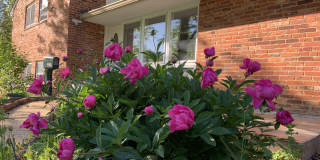 7602 Cosgrove Place Gallery 1