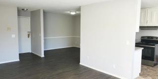 Charlton Park Gallery 23