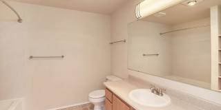 Arbor Square Gallery 43