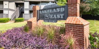 Lakeland East Gallery 8