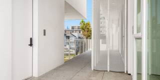 The Samson Gallery 28