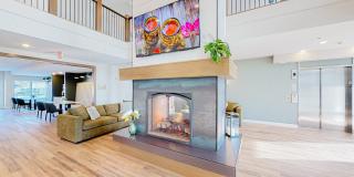 Arris Lakeville Gallery 21