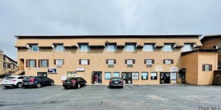 907 OLD SCALP Gallery 1