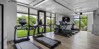 Arvella Arvella Gallery 56