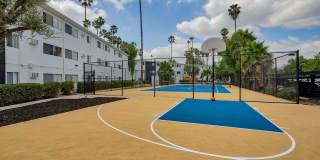 Summerview Beach Resort Luxury Apartments Gallery 12