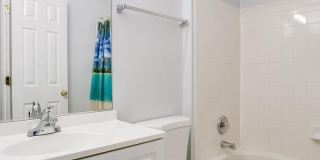 25242 DUNVEGAN Square Gallery 25