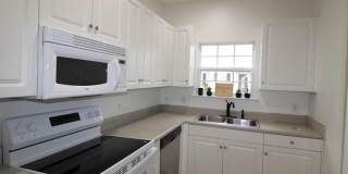 348 Moss Creek Lane Gallery 6
