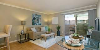 Modern Pacific Beach Condo Available Now! Gallery 1