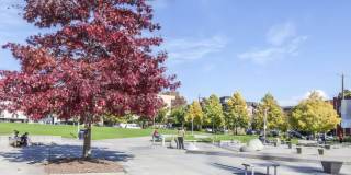 Ballard Public Gallery 28