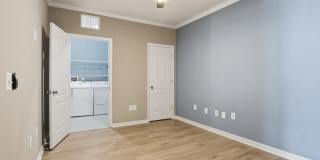 24636 WOOLLY MAMMOTH Terrace Gallery 12