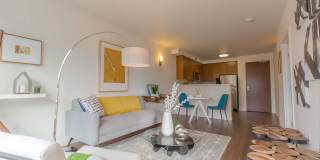 Linden Apartments Gallery 6