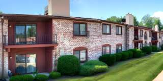 Spanish Gardens Gallery 12