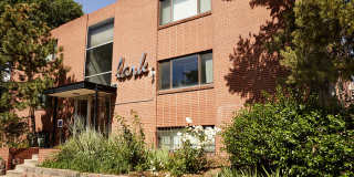 The Lark Gallery 9