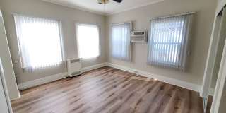 259c Gallery 4