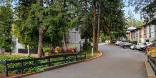 Montclair Terrace Gallery 19