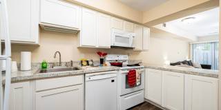 Sonnenblick Apartments Gallery 6