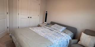 4959 Lexi Ln - 1 Gallery 38