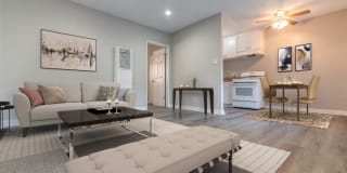 Twin Palms Gallery 8