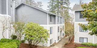 Oswego Cove Gallery 14