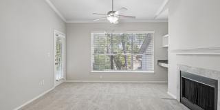 Carrington Park Gallery 88