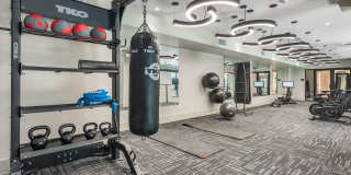 Aura Apache Gallery 5