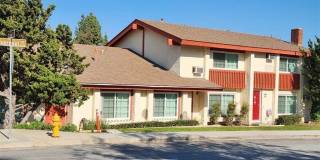 17564 Orange Gallery 1