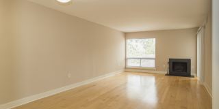 Ash Tree - Student Housing Gallery 8