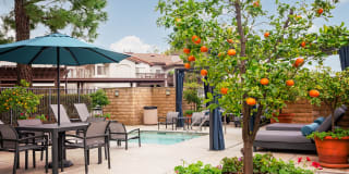 Westlake Canyon Apartments Gallery 46