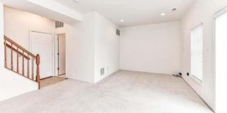 21759 LADYSLIPPER Square Gallery 28